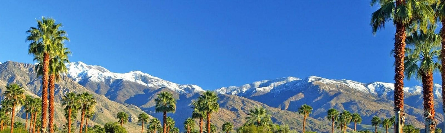 Banner photo