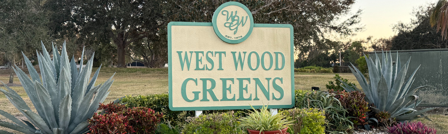 Banner photo