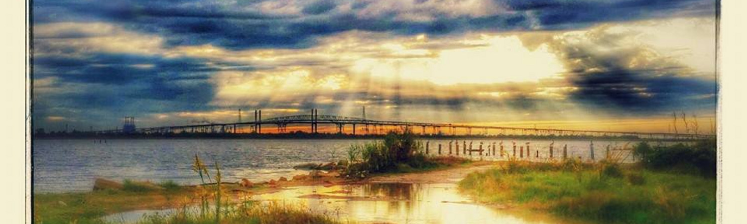 Banner photo