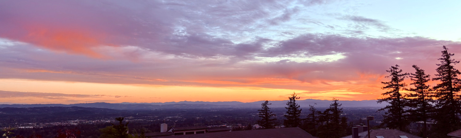 Banner photo
