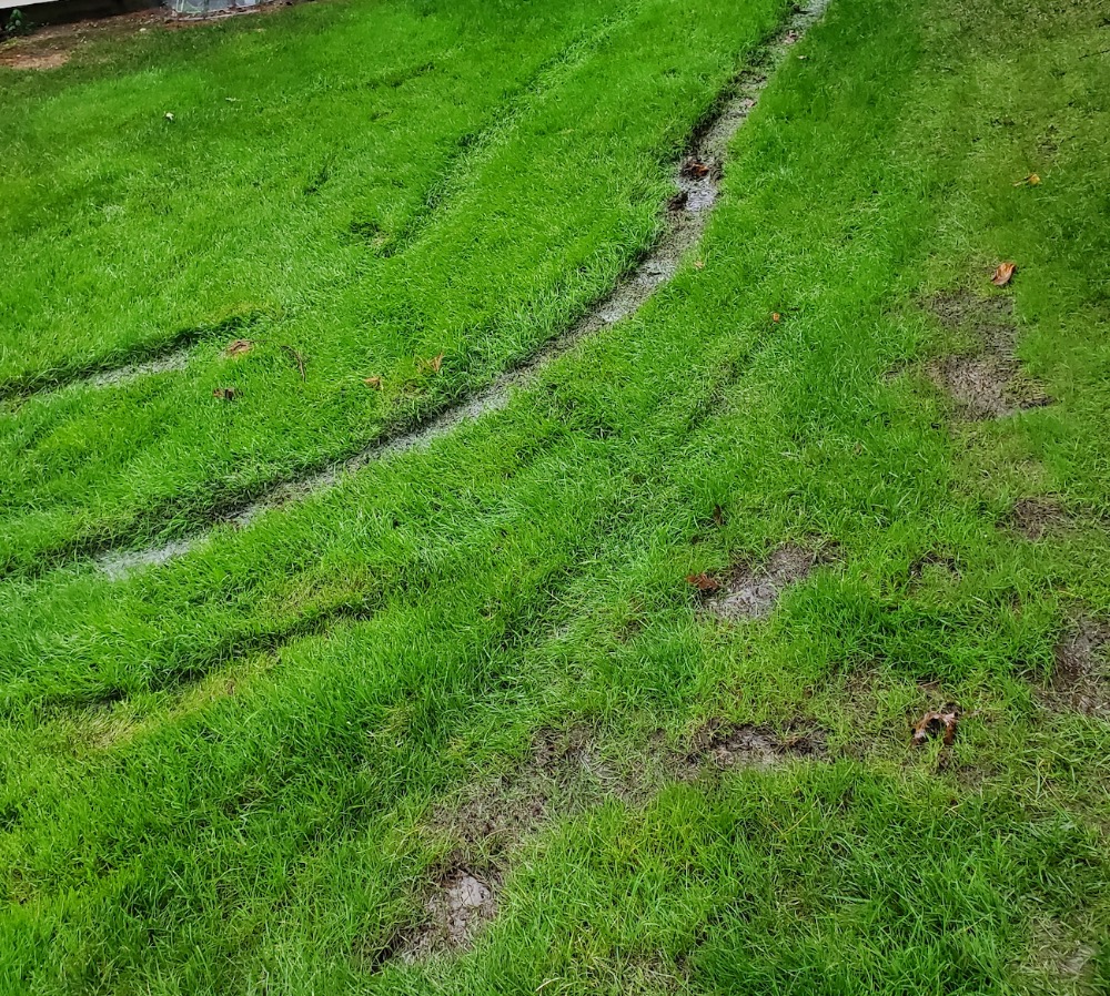 Estates II Residents Club Community in Manhasset, NY