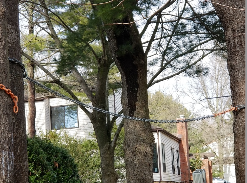 Estates II Residents Club Community in Manhasset, NY