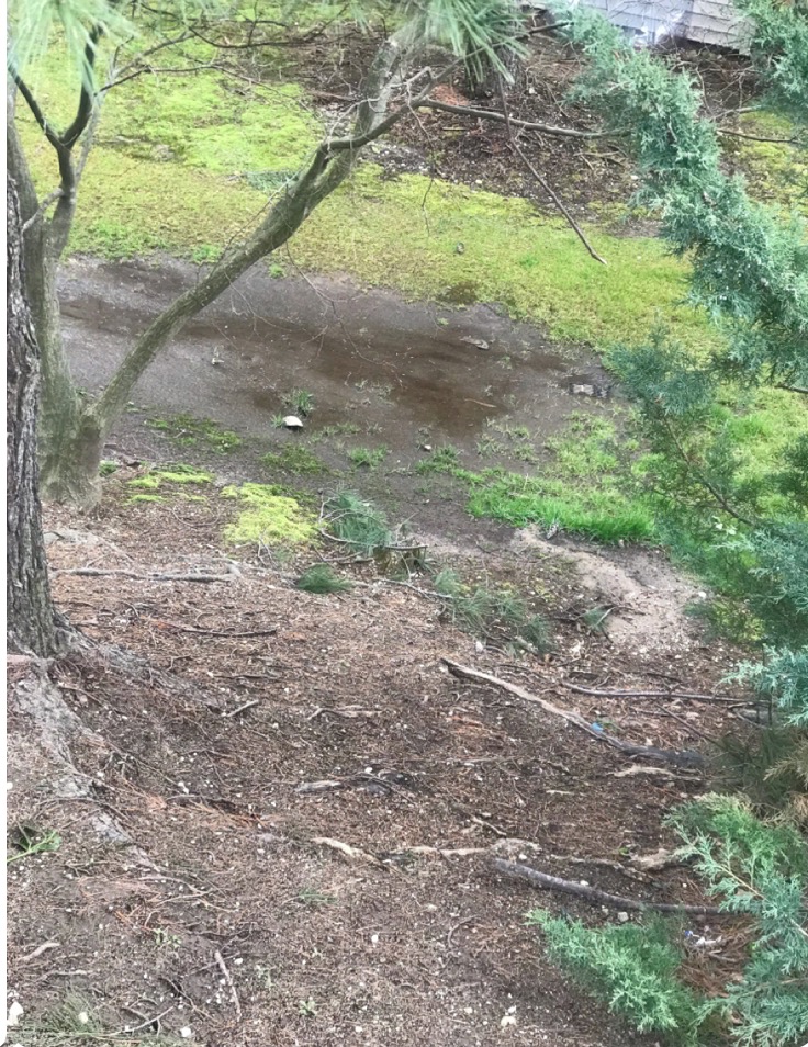 Estates II Residents Club Community in Manhasset, NY