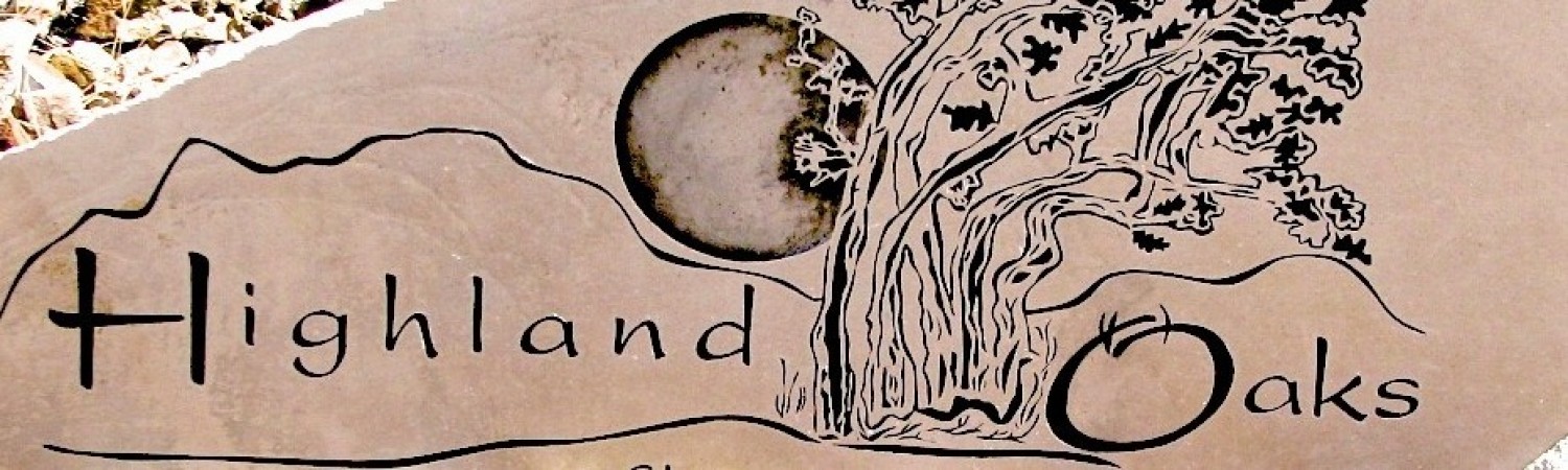 Banner photo