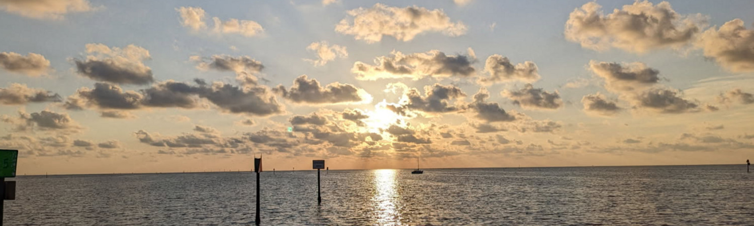 Banner photo