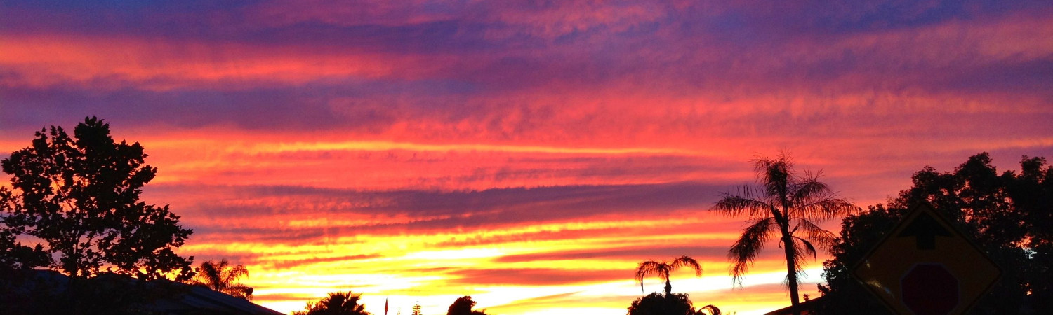 Banner photo