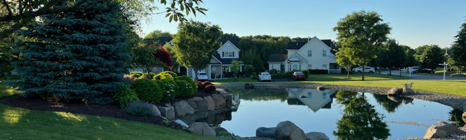 Banner photo