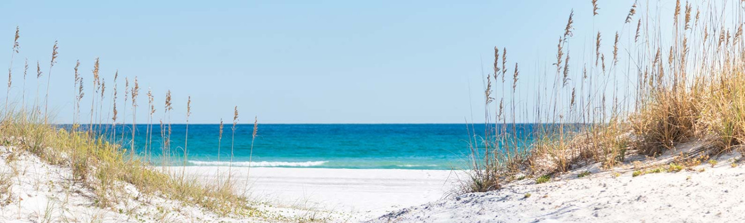 Banner photo