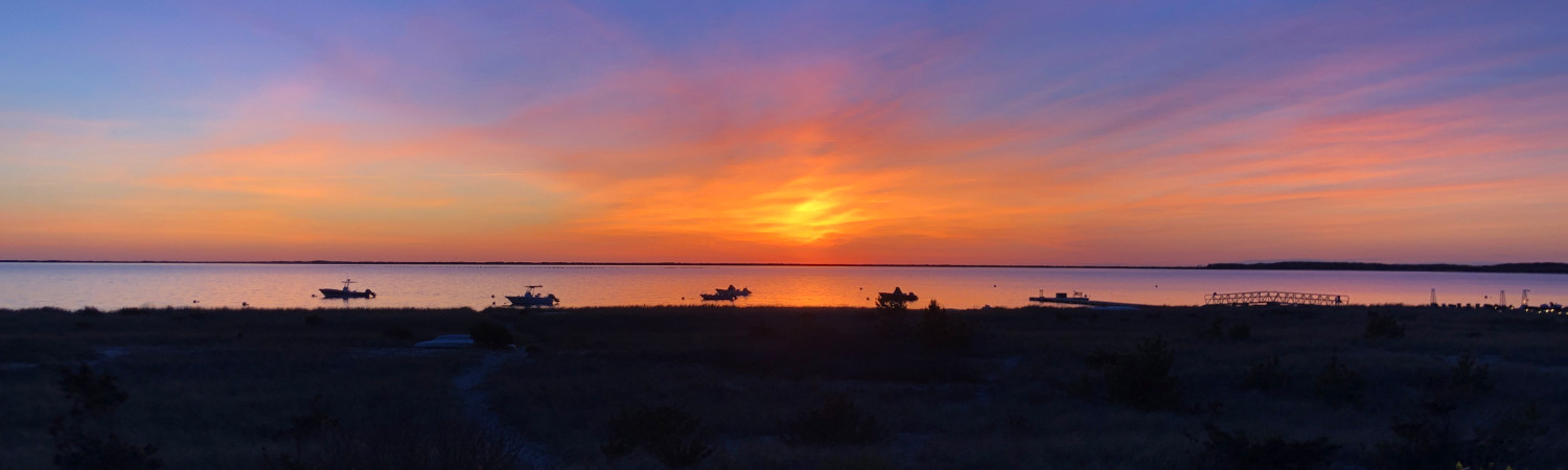 Banner photo