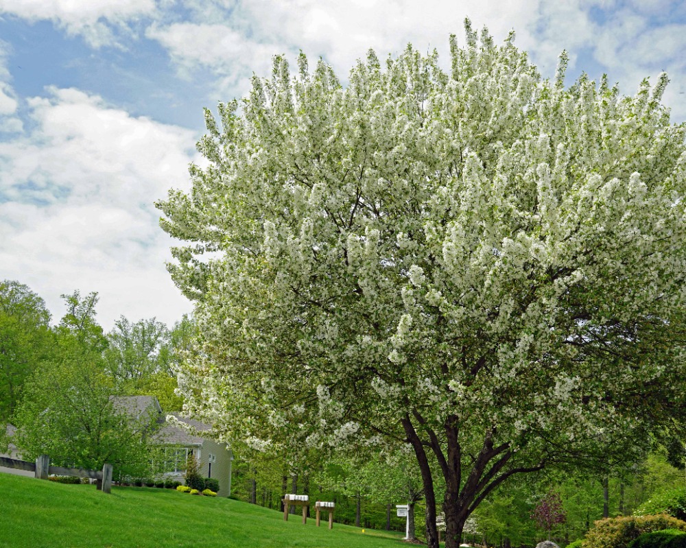 Riverwoods HOA in Mount Kisco, NY