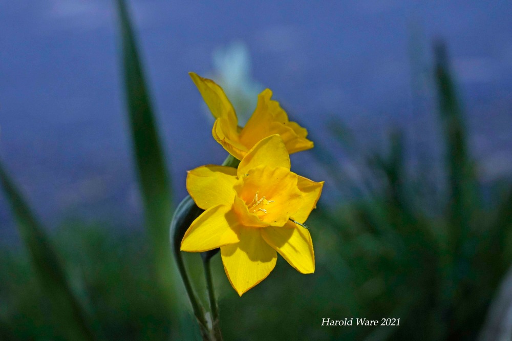 Riverwoods HOA in Mount Kisco, NY