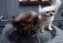 RfosbDb9gIyZNoFF.gif