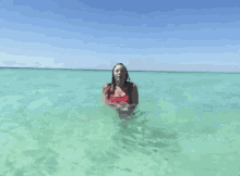 ZrjVTRdb6VlYaaTd.gif