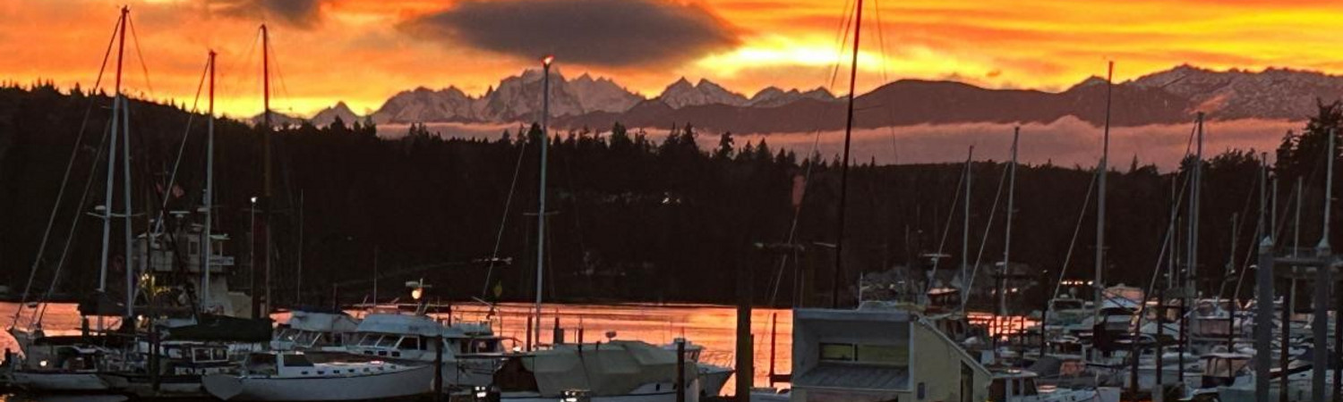 Banner photo