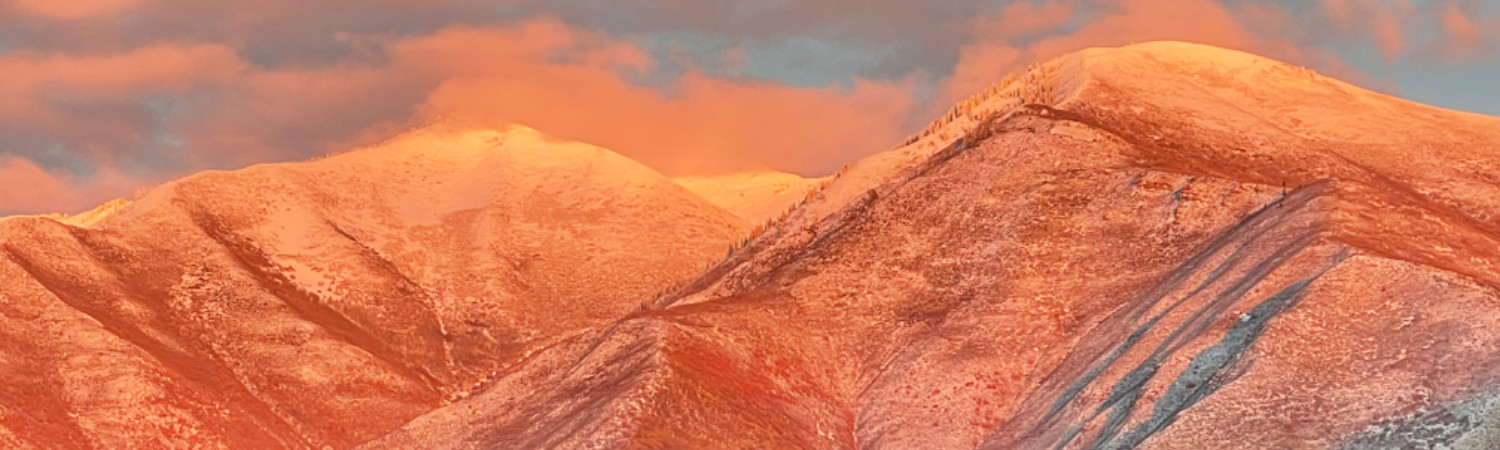 Banner photo