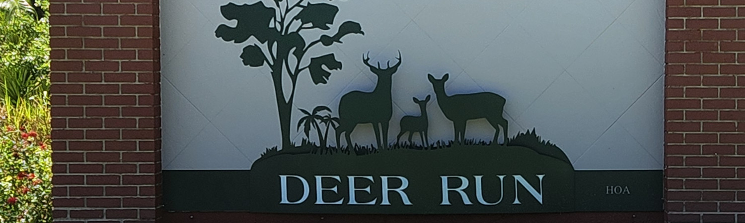 Banner photo
