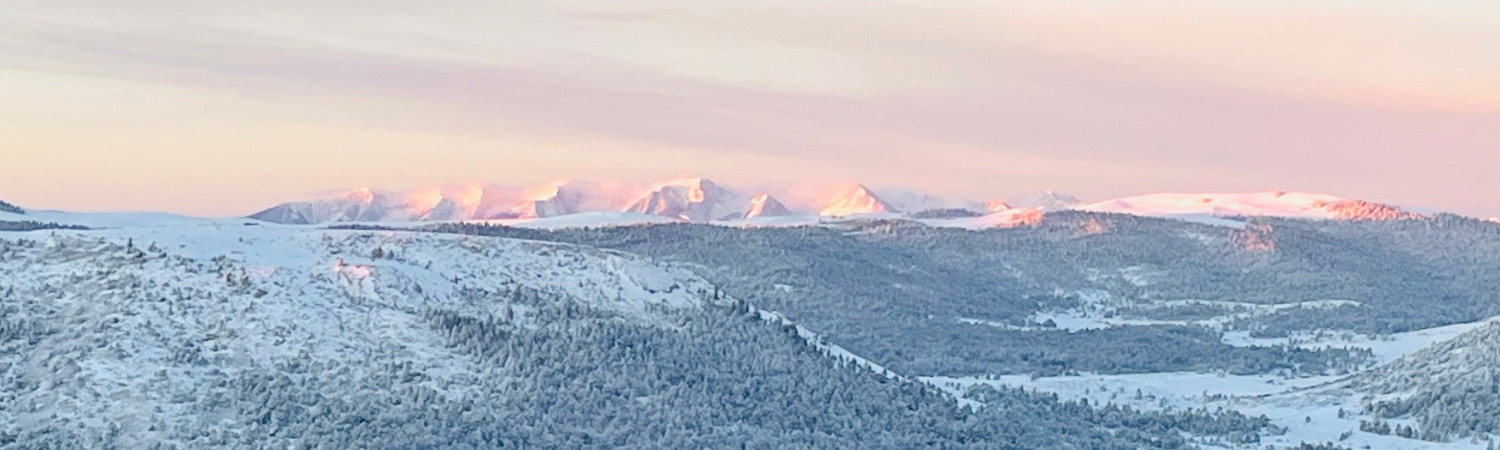 Banner photo
