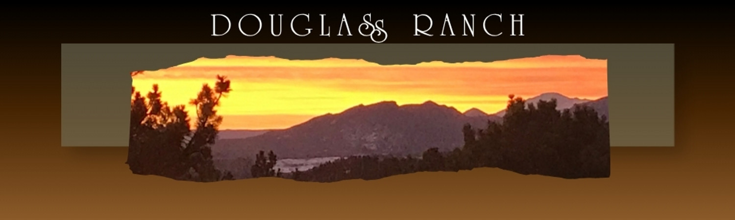 Banner photo