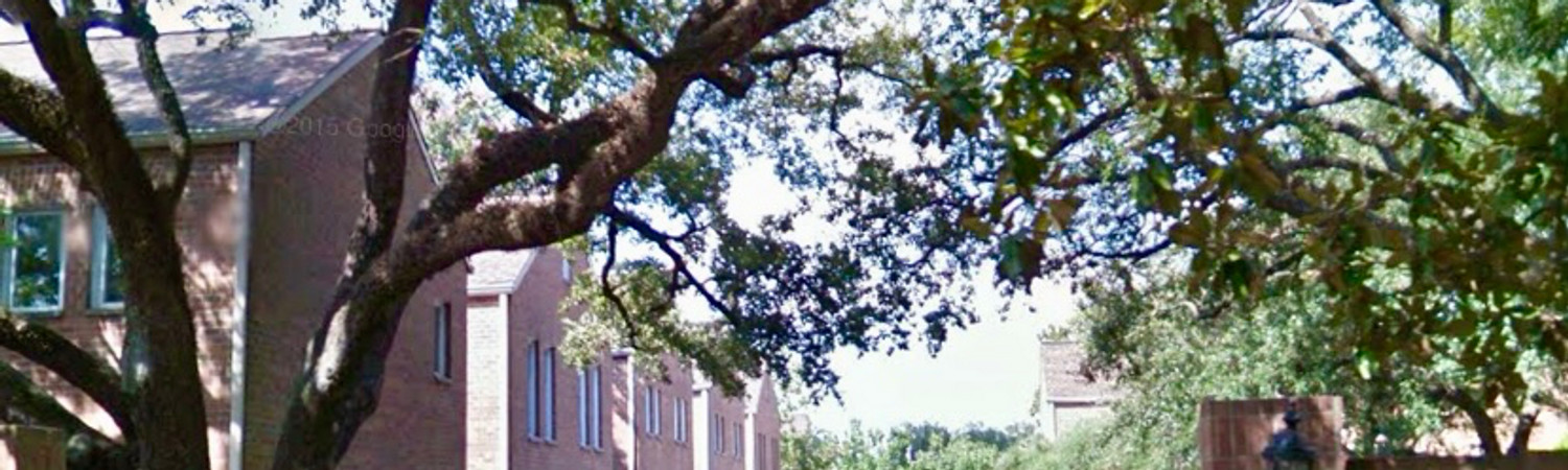 Banner photo