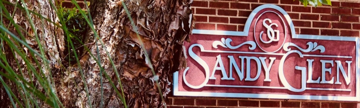 Banner photo