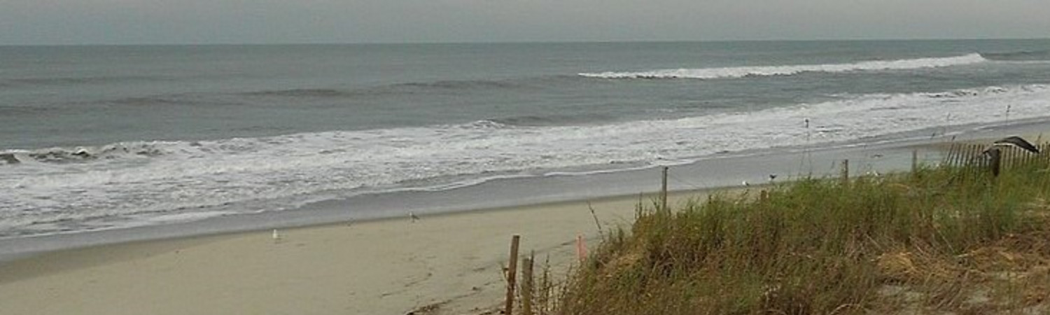 Banner photo