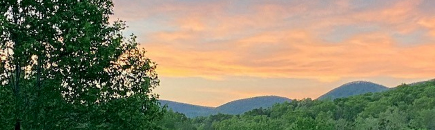 Banner photo