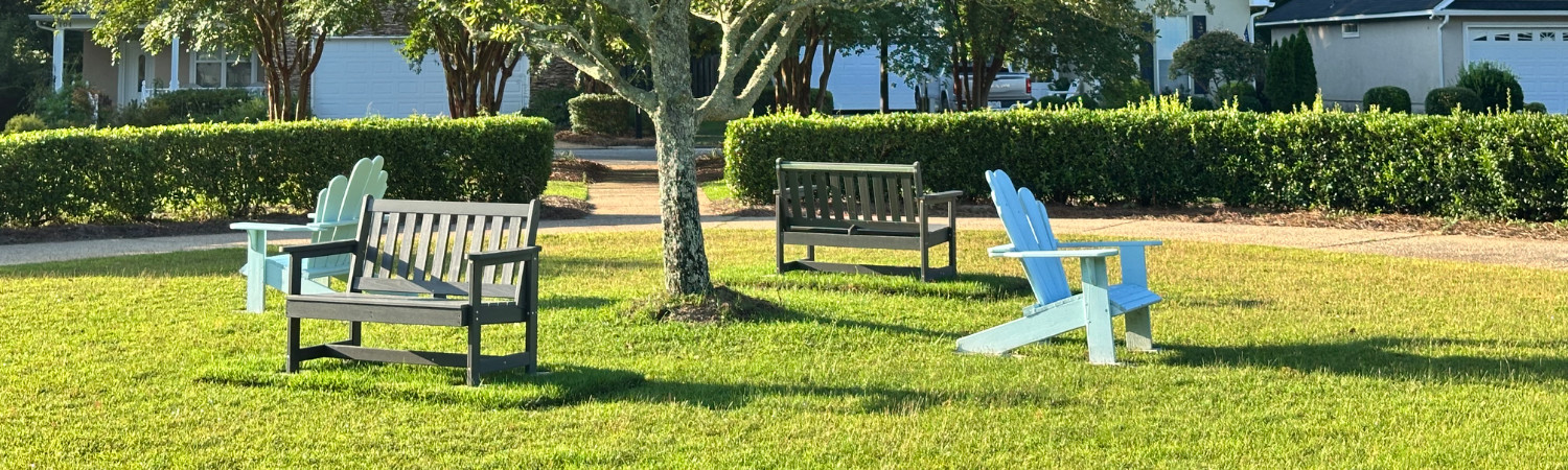 Banner photo