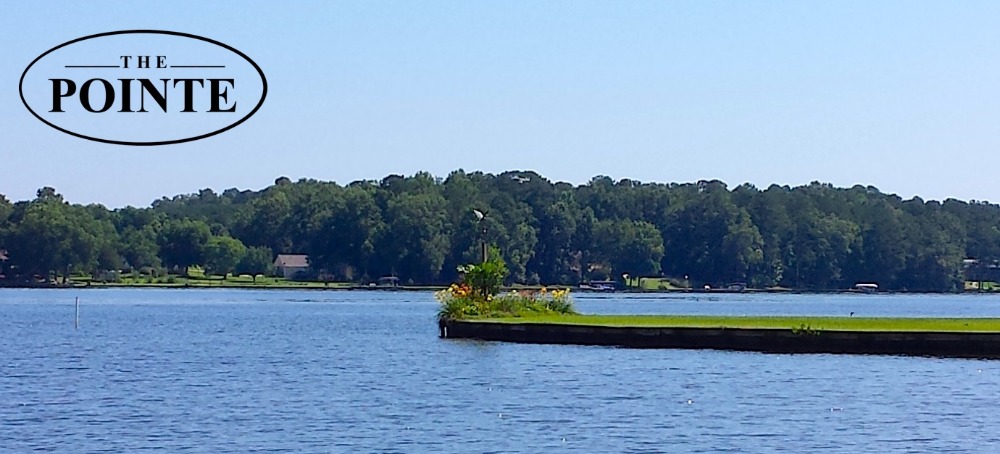 The Pointe