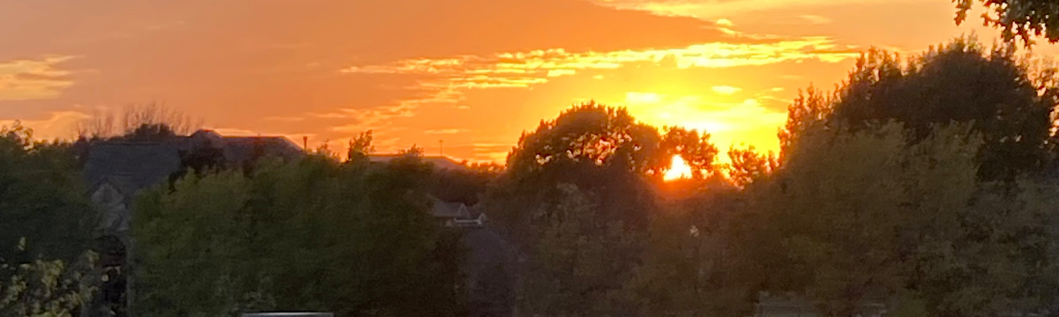 Banner photo