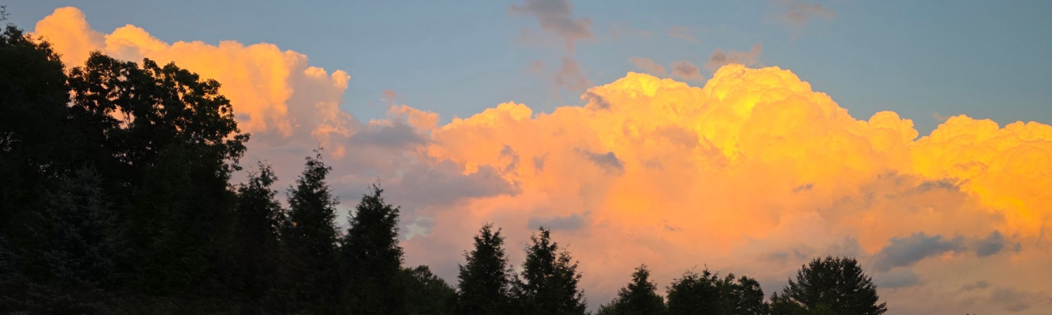 Banner photo