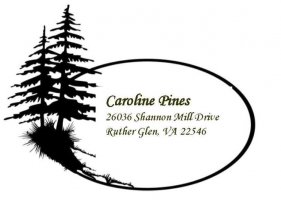 Caroline Pines