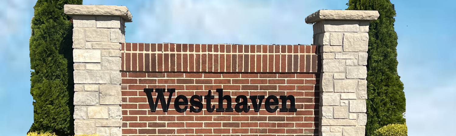 Banner photo