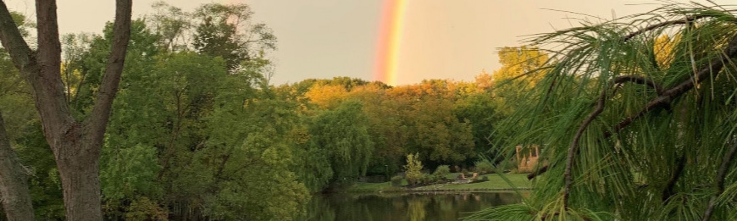 Banner photo