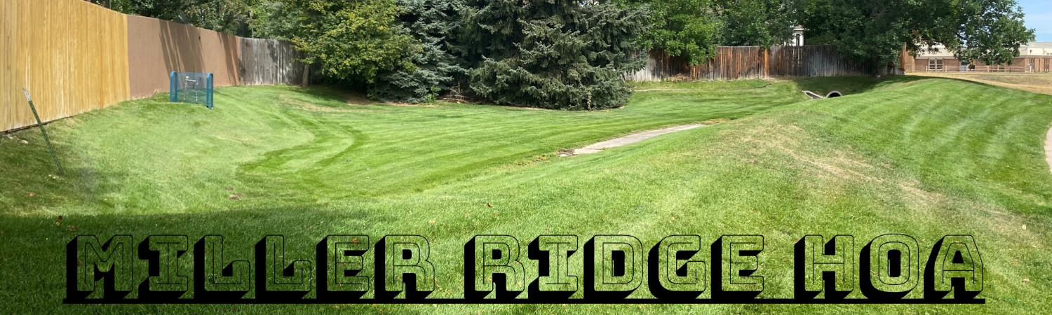 Banner photo