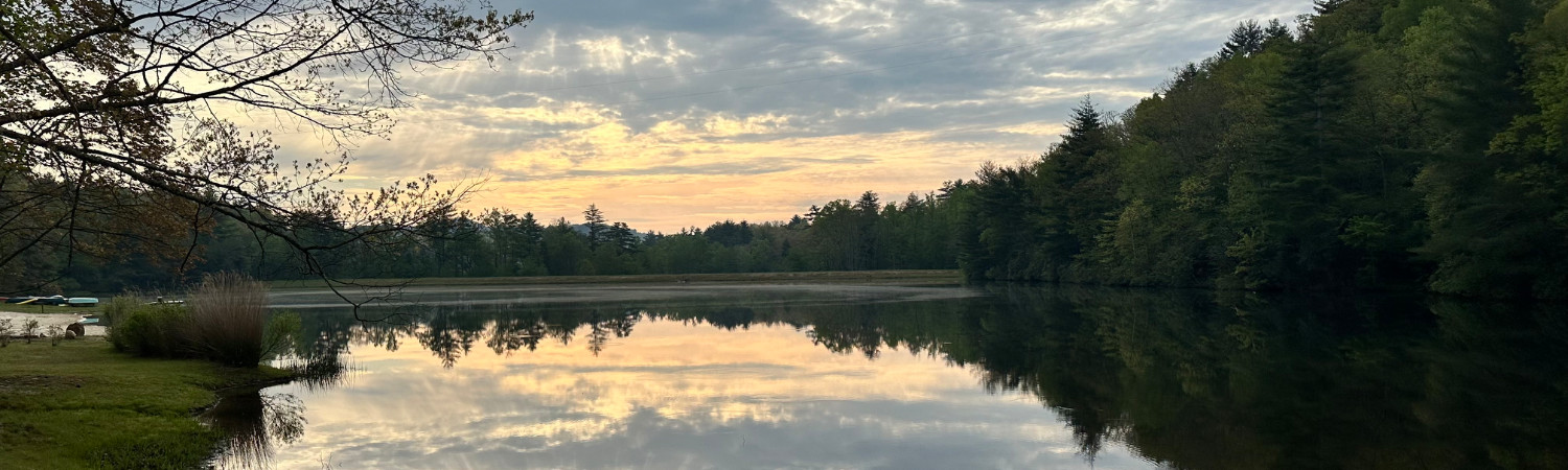 Banner photo